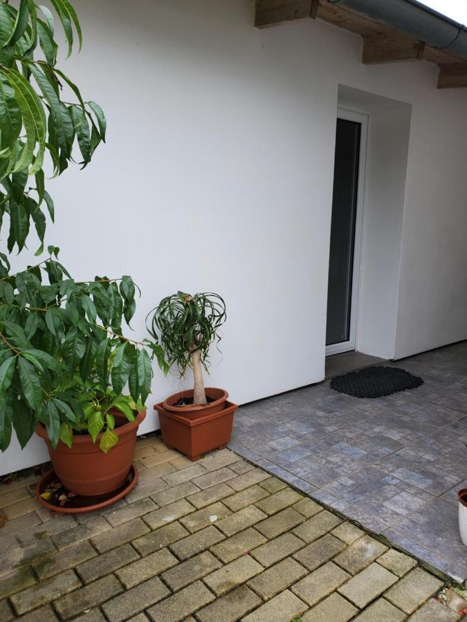 דירות ברנו Apartman Stary Liskovec מראה חיצוני תמונה